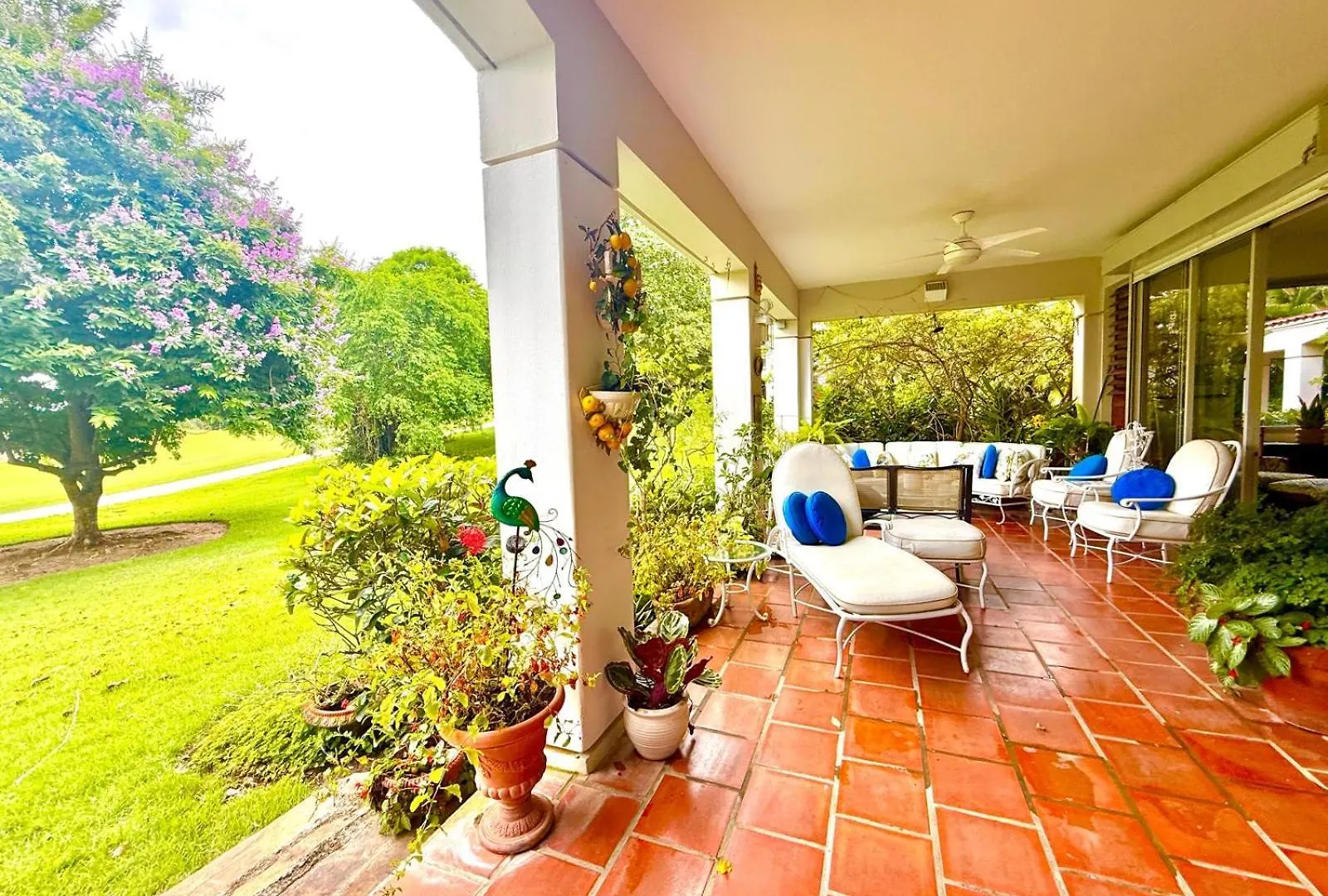 Villa Teale Serene Dorado Escape