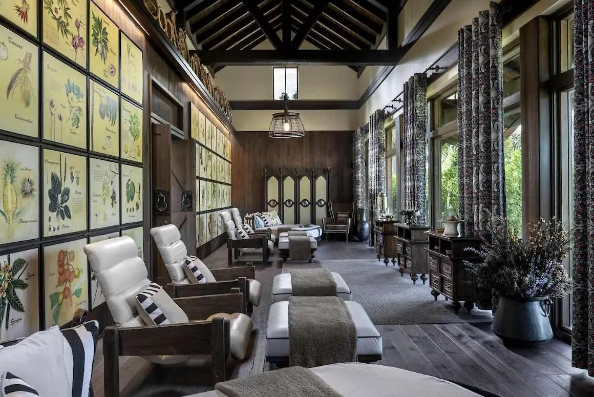 Villa Teale Serene Dorado Escape