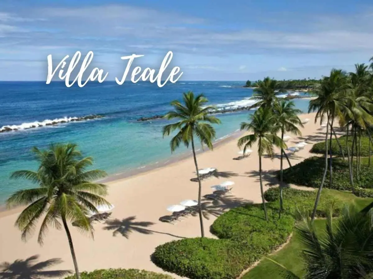 Villa Teale Serene Dorado Escape