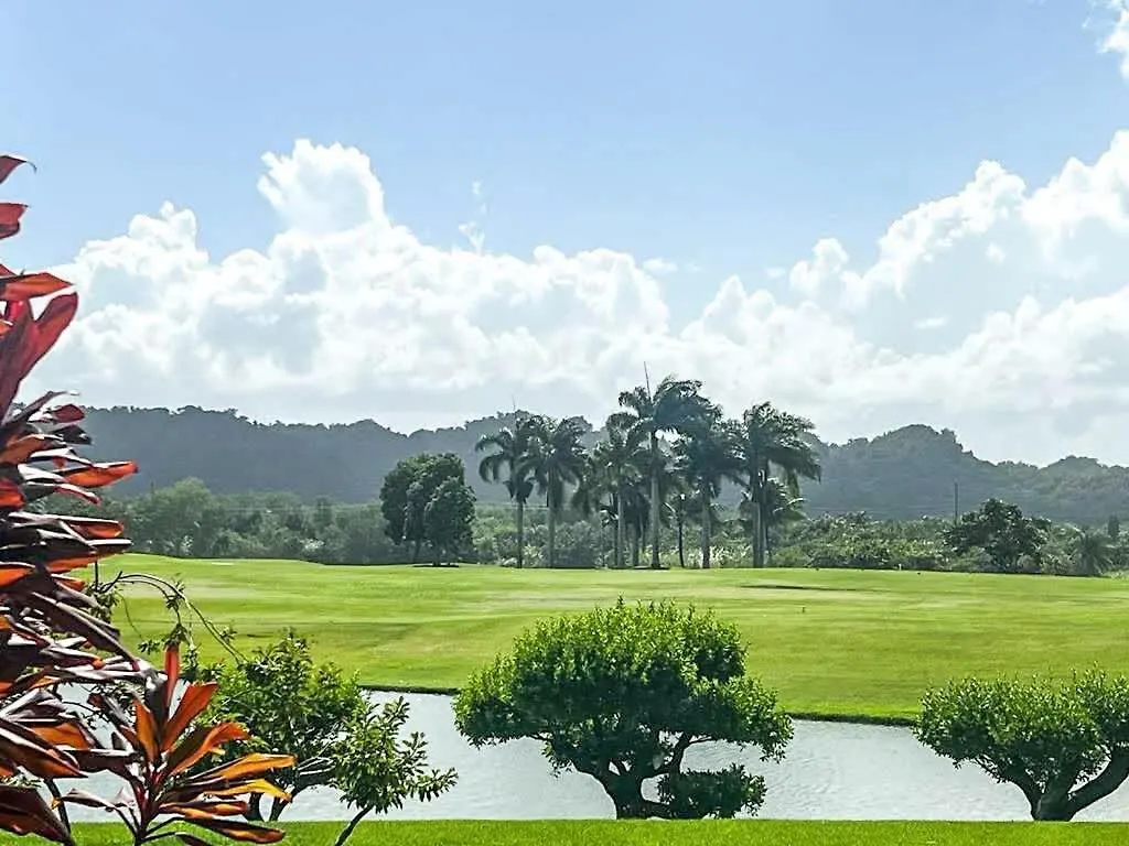 Villa Teale Serene Dorado Escape